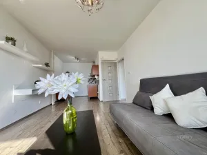 Pronájem bytu 2+kk, Mladá Boleslav - Mladá Boleslav III, Zalužanská, 47 m2