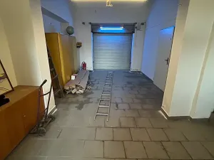 Pronájem rodinného domu, Písek, Pražská, 200 m2