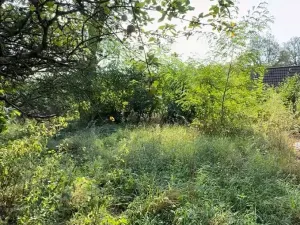 Dražba pozemku pro bydlení, Dubá, 226 m2