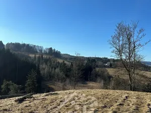 Prodej louky, Bozkov, 14441 m2