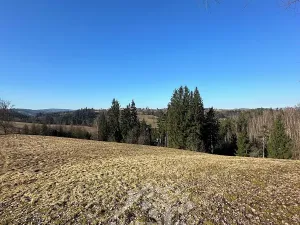 Prodej louky, Bozkov, 14441 m2