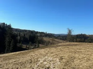 Prodej louky, Bozkov, 14441 m2