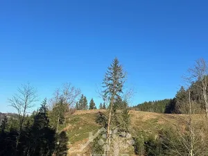 Prodej louky, Bozkov, 14441 m2