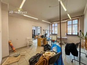 Prodej rodinného domu, Teplice, Thámova, 215 m2