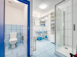 Prodej ubytování, Batelov, Třešťská, 490 m2