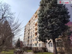 Pronájem bytu 1+kk, Děčín - Děčín III-Staré Město, Jezdecká, 19 m2