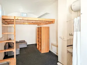 Pronájem atypického bytu, Pardubice, Jana Palacha, 19 m2