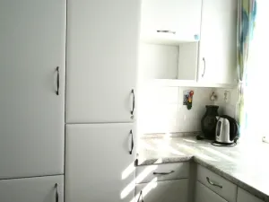 Prodej bytu 5+1, Plzeň - Východní Předměstí, 160 m2