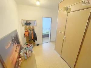 Prodej bytu 2+kk, Litvínov - Janov, Hamerská, 39 m2