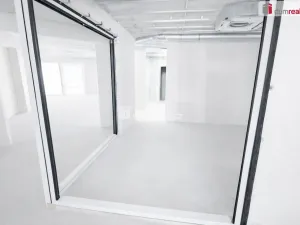 Pronájem obchodního prostoru, Praha, Štúrova, 132 m2