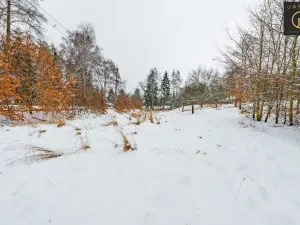 Prodej komerčního pozemku, Žandov - Radeč, 1706 m2