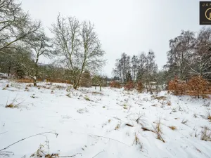 Prodej komerčního pozemku, Žandov - Radeč, 1706 m2