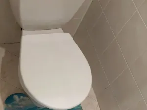 Pronájem bytu 1+1, Karlovy Vary, Dvořákova, 36 m2