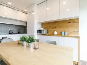 Prodej rodinného domu, Loučná pod Klínovcem, 146 m2