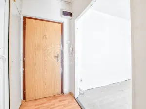 Prodej bytu 1+1, Frýdek-Místek - Frýdek, K Hájku, 36 m2