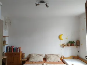 Prodej rodinného domu, Janov nad Nisou, 250 m2