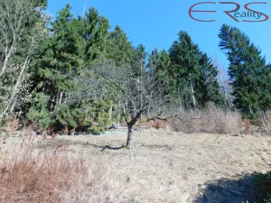 Prodej rodinného domu, Janov nad Nisou, 250 m2