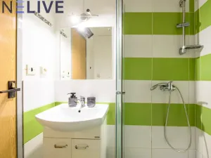 Prodej bytu 2+1, Cheb, Hrnčířská, 60 m2