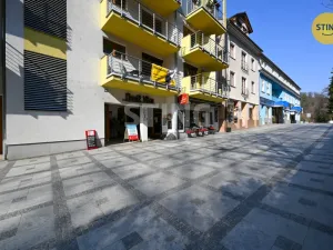 Prodej bytu 1+kk, Luhačovice, Dr. Veselého, 40 m2