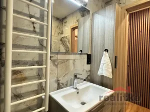 Prodej bytu 1+kk, Opava - Kateřinky, Grudova, 21 m2