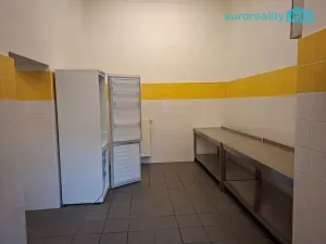 Pronájem restaurace, Žandov, Náměstí, 200 m2