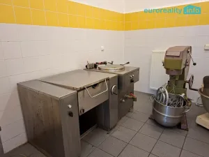 Pronájem restaurace, Žandov, Náměstí, 200 m2