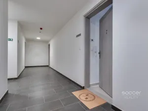 Pronájem bytu 1+kk, Praha - Hloubětín, Domalípova, 38 m2