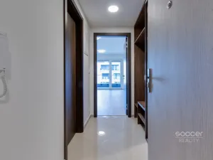 Pronájem bytu 1+kk, Praha - Hloubětín, Domalípova, 38 m2