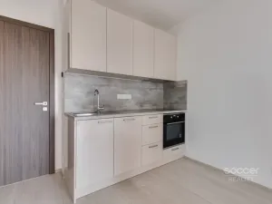 Pronájem bytu 1+kk, Praha - Hloubětín, Domalípova, 38 m2