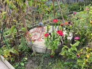 Prodej rodinného domu, Veselíčko, 172 m2