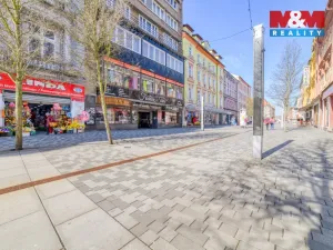 Pronájem obchodního prostoru, Cheb, Svobody, 260 m2
