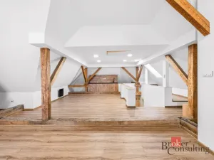 Pronájem bytu 1+kk, Příkosice, 85 m2