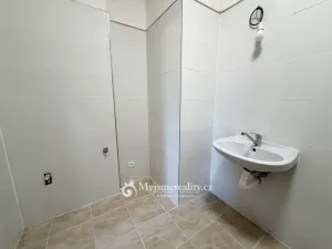 Pronájem bytu 2+1, Dyjákovice, 57 m2