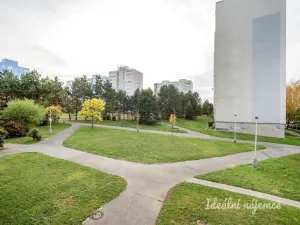 Pronájem bytu 1+1, Praha - Háje, Schulhoffova, 29 m2