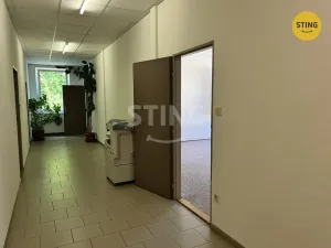 Pronájem kanceláře, Pardubice, S. K. Neumanna, 35 m2