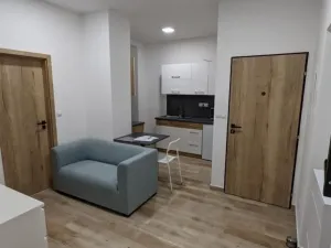 Pronájem bytu 1+kk, Jihlava, Seifertova, 26 m2