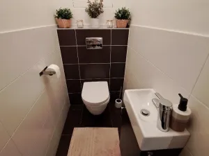 Pronájem bytu 2+kk, Olomouc, Aloise Rašína, 60 m2