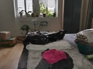 Pronájem bytu 3+kk, Děčín - Děčín IV-Podmokly, Palackého, 75 m2