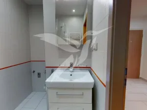 Pronájem bytu 3+1, Plzeň, Pod Vrchem, 66 m2