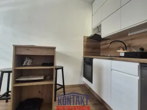 Pronájem bytu 1+kk, České Budějovice, Plzeňská, 21 m2
