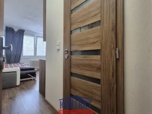 Pronájem bytu 1+kk, České Budějovice, Plzeňská, 21 m2