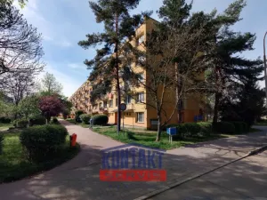 Pronájem bytu 1+kk, České Budějovice, Plzeňská, 21 m2