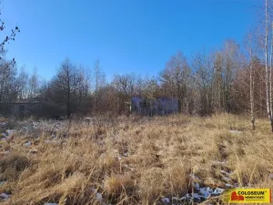 Prodej komerčního pozemku, Šafov, 15899 m2