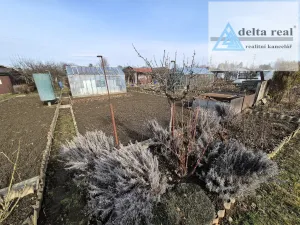 Prodej zahrady, Šumperk, 217 m2