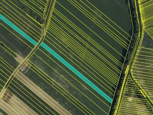 Prodej podílu pole, Malá Vrbka, 2555 m2