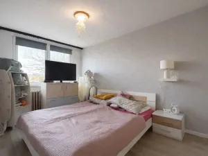 Prodej bytu 3+1, Most, K. J. Erbena, 81 m2