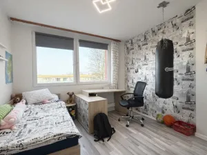 Prodej bytu 3+1, Most, K. J. Erbena, 81 m2