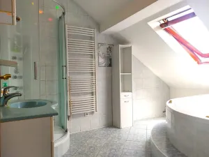 Pronájem bytu 3+1, Ostrava, Daliborova, 160 m2