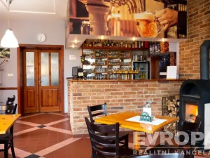 Prodej komerční nemovitosti, Srbsko, K Přívozu, 458 m2