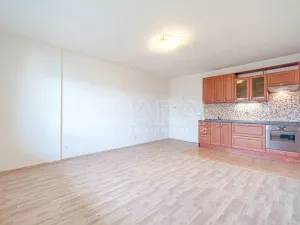 Prodej bytu 1+kk, Holubice - Kozinec, Buková, 40 m2
